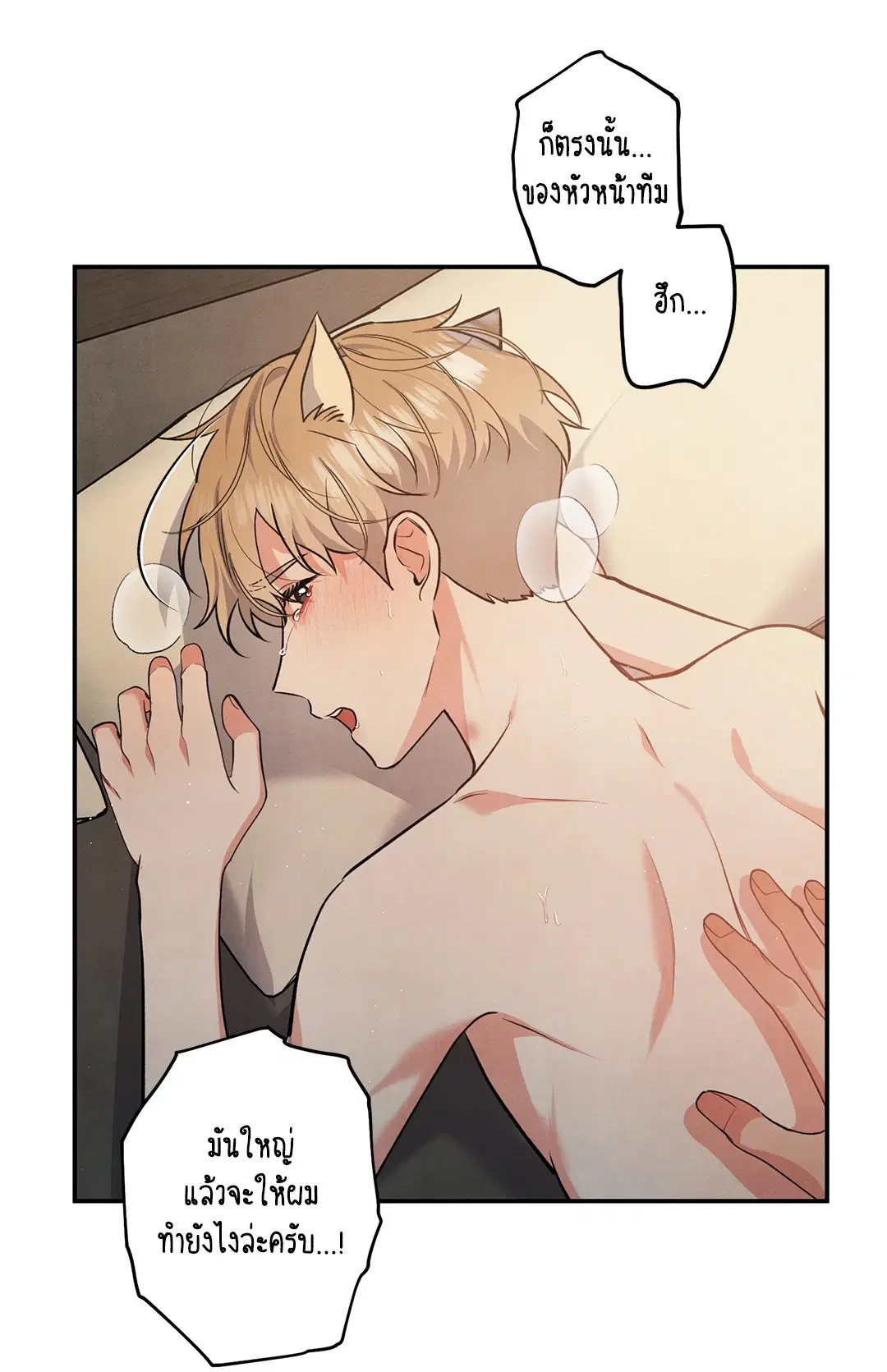 Roses and Champagne ตอนที่ 59 — หน้า 34 จาก 64