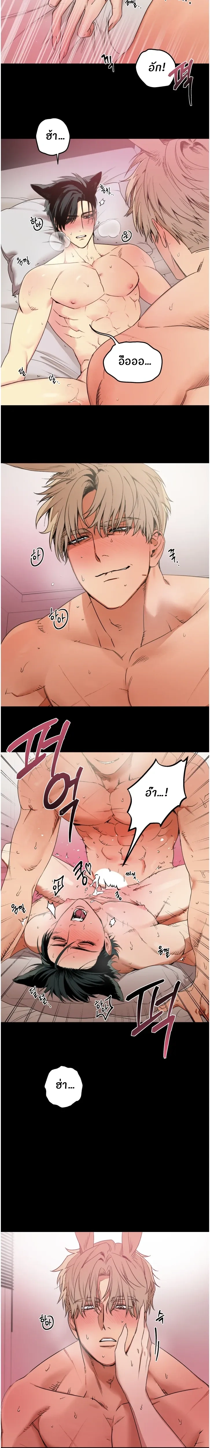 The Mean Fox and the Cunning Rabbit – จิ้งจอกตัวร้ายกับนายกระต่ายจอมเจ้าเล่ห์ ตอนที่ 1 — หน้า 18 จาก 23