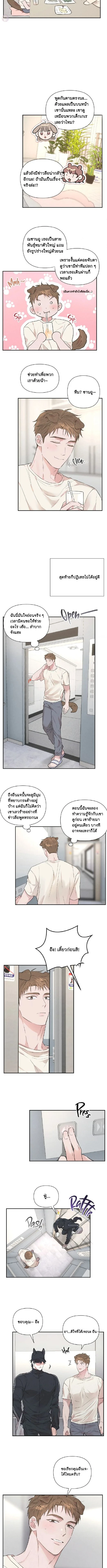 Turning Over A New Paw – พลิกขั้วหัวใจนายหมาป่า ตอนที่ 1 — หน้า 6 จาก 17
