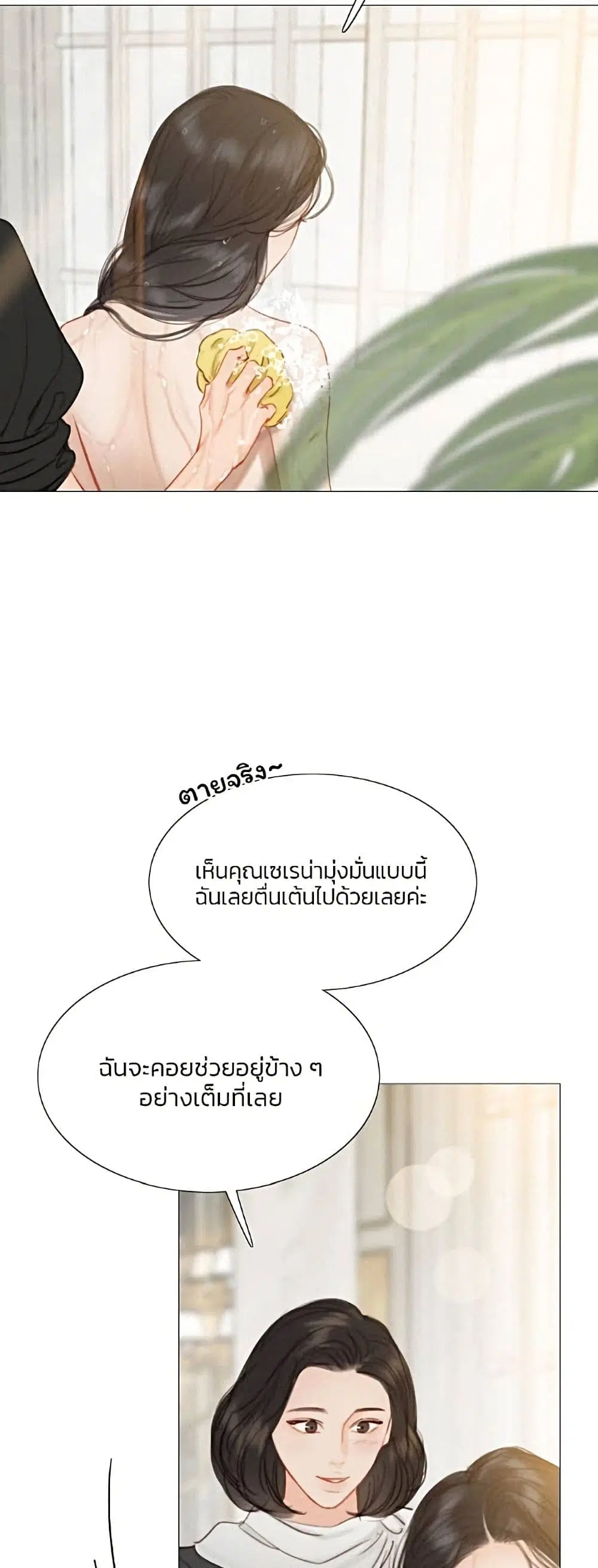 Serena ตอนที่ 13 — หน้า 51 จาก 62