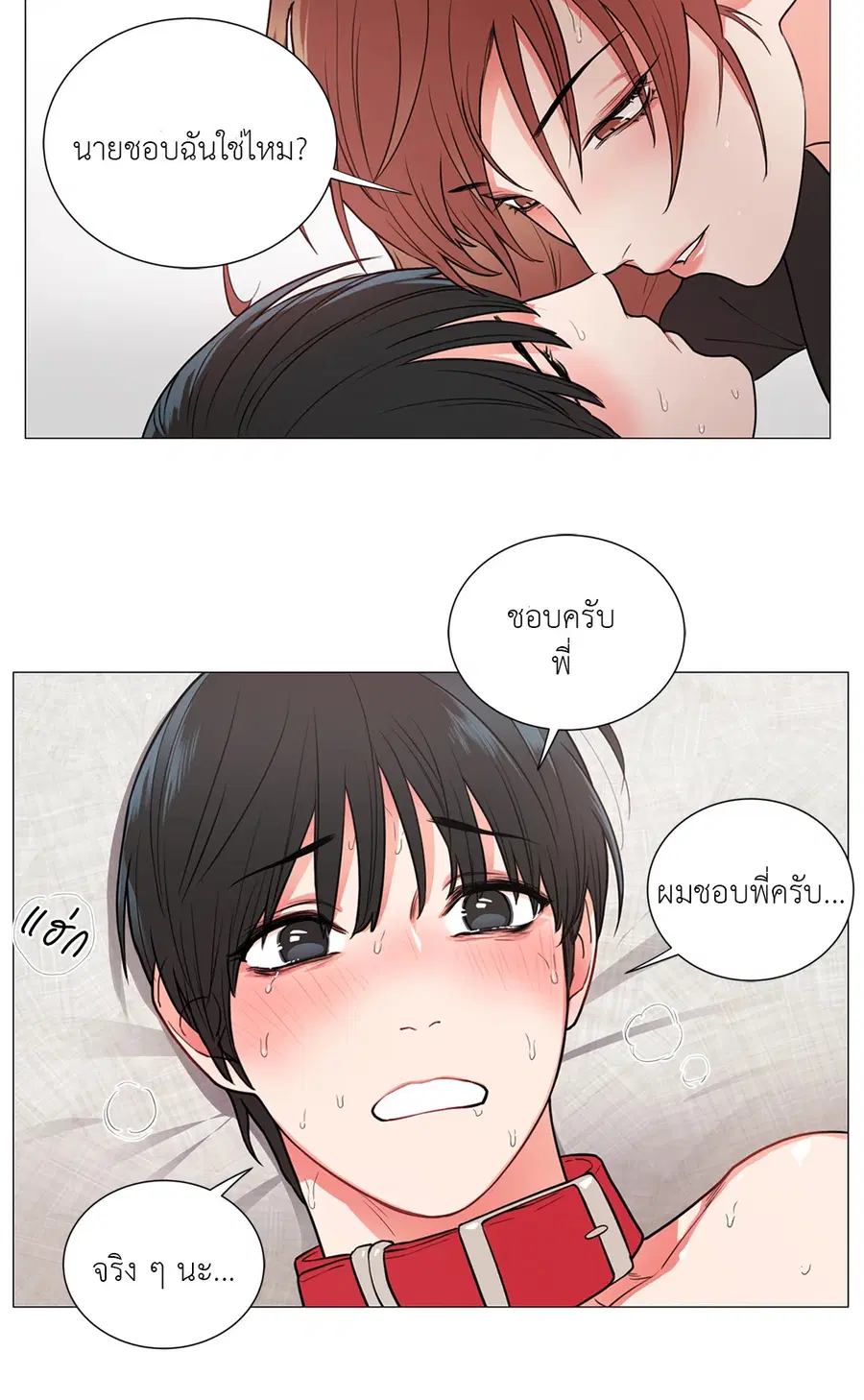 Sadistic Beauty ตอนที่ 58 — หน้า 12 จาก 38