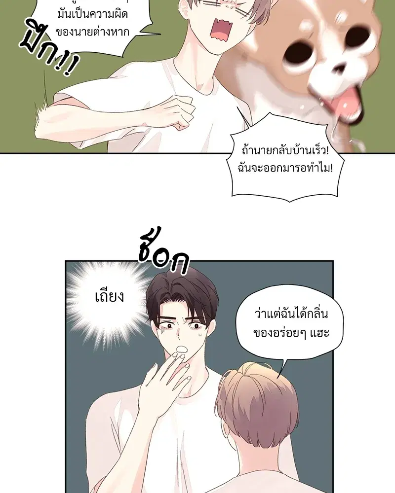 4 Week Lovers ตอนที่ 80 — หน้า 48 จาก 66