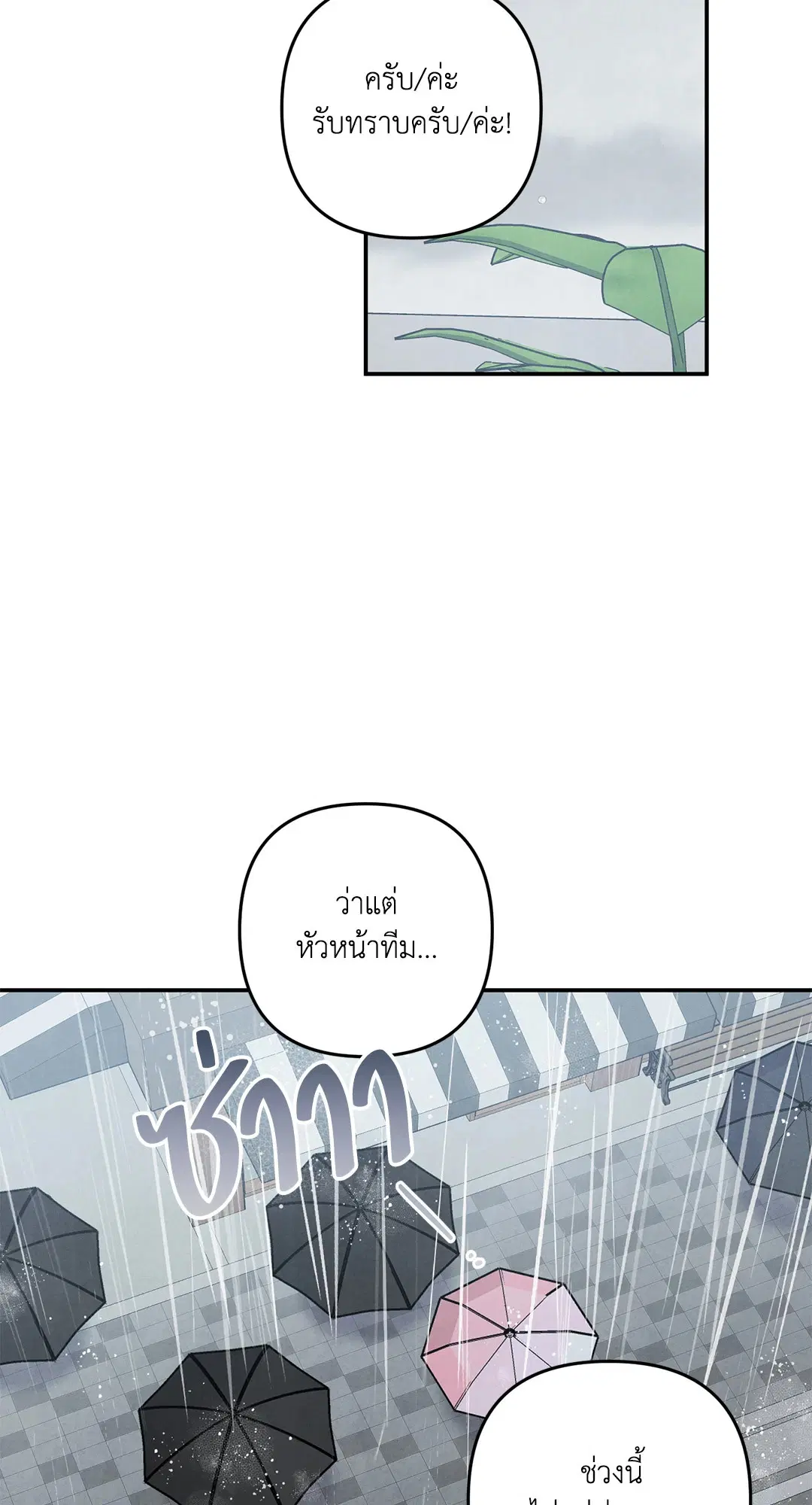 Roses and Champagne ตอนที่ 63 — หน้า 2 จาก 59