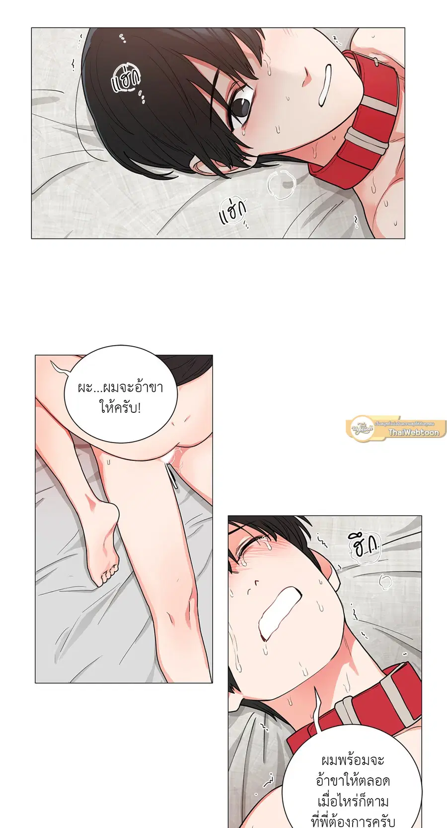 Sadistic Beauty ตอนที่ 58 — หน้า 15 จาก 38