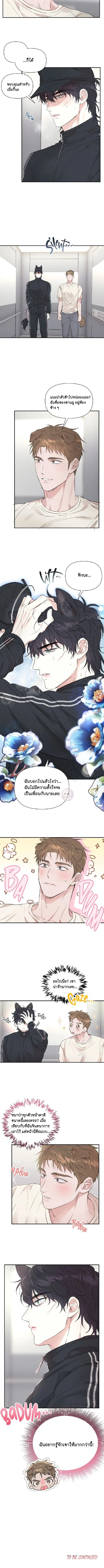 Turning Over A New Paw – พลิกขั้วหัวใจนายหมาป่า ตอนที่ 1 — หน้า 7 จาก 17