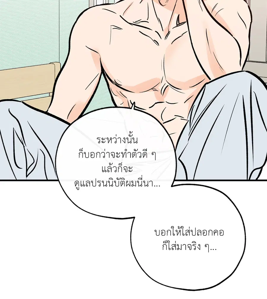 Lucky Paradise ตอนที่ 81.03 — หน้า 41 จาก 53